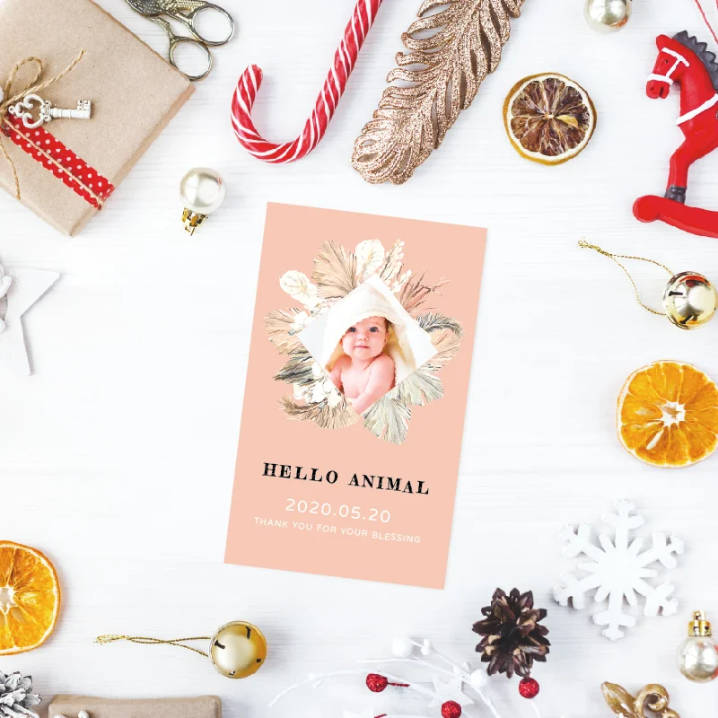 BBA1Z10013：圖片 2