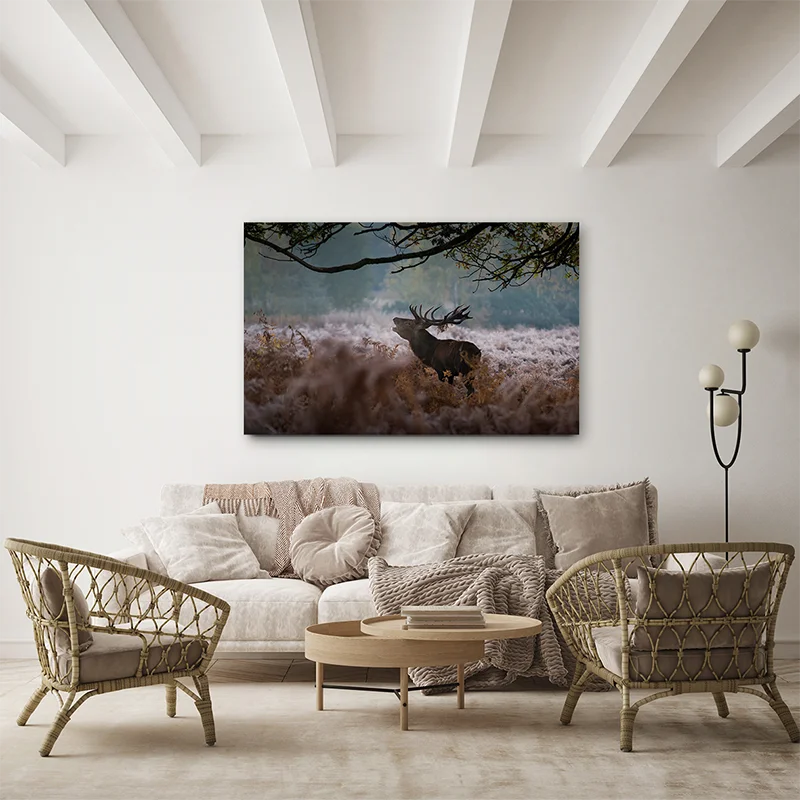 DCT4CC0012：圖片 2